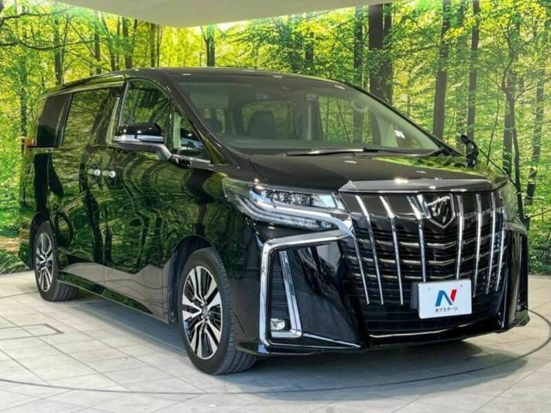 ALPHARD-16