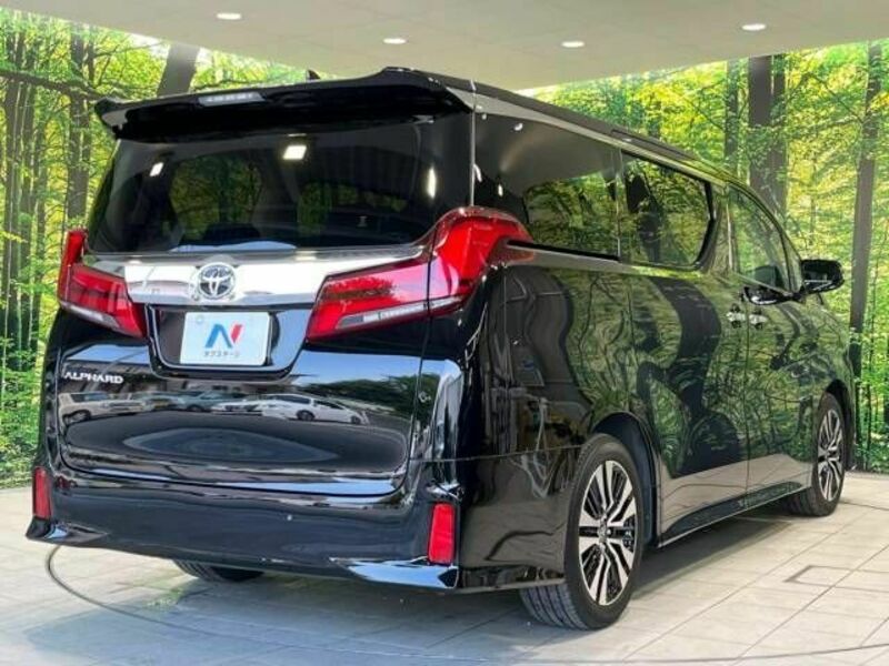 ALPHARD-17