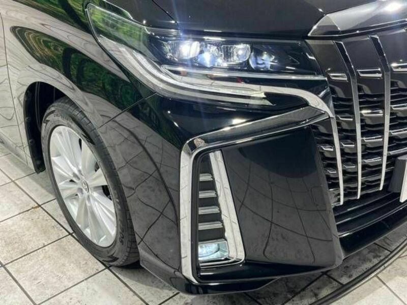 ALPHARD-13