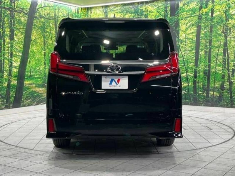 ALPHARD-16