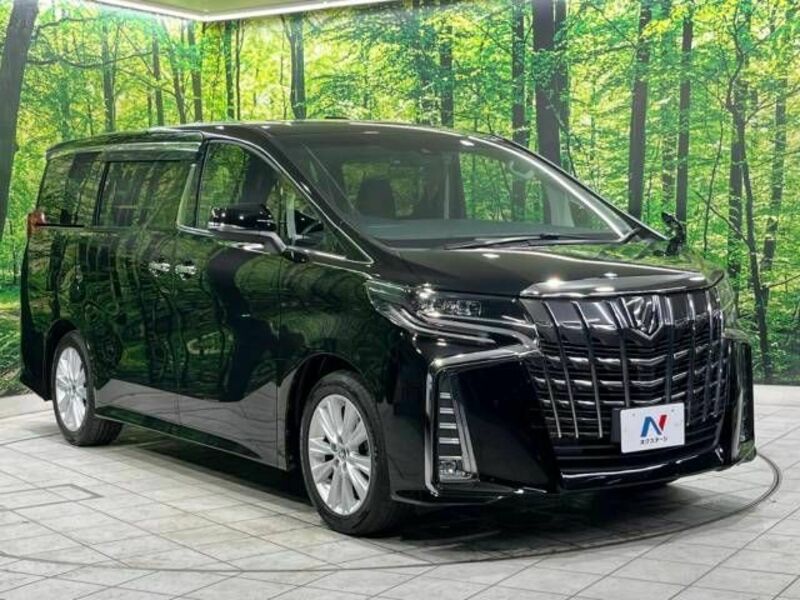 ALPHARD-17