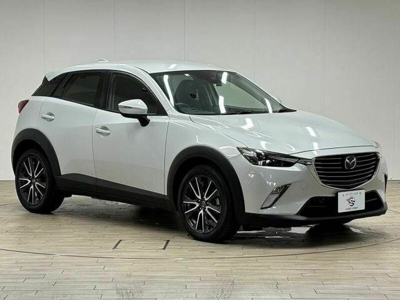 CX-3-13