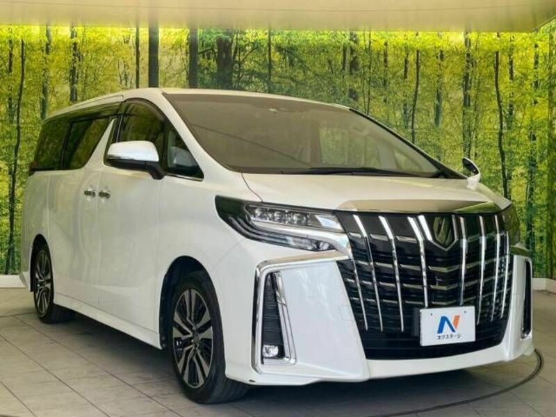 ALPHARD-16