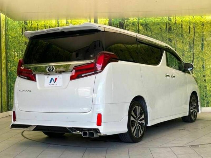 ALPHARD-17