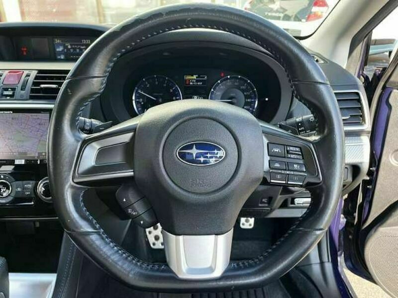 LEVORG-4