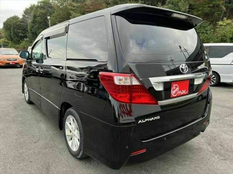 ALPHARD-19