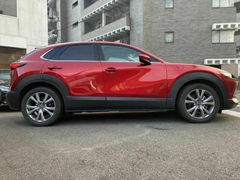 CX-30-3