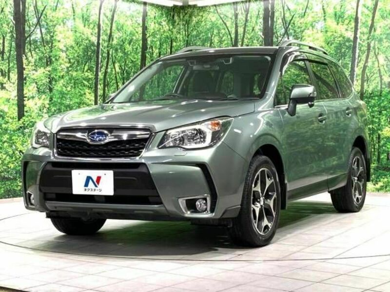 FORESTER-16