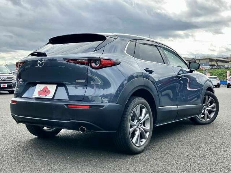 CX-30-2