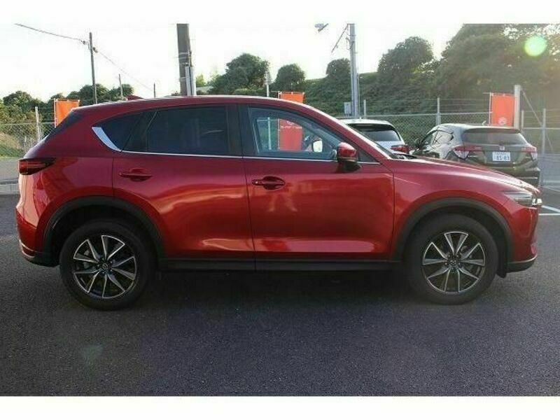 CX-5-6