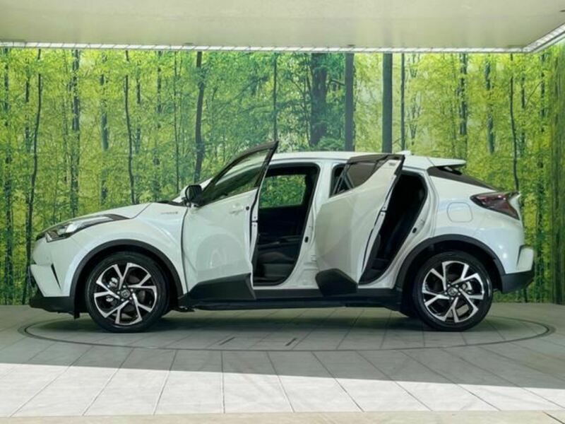 C-HR-10