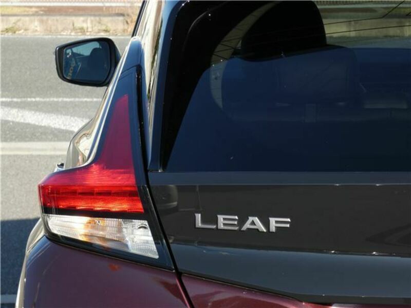 LEAF-8