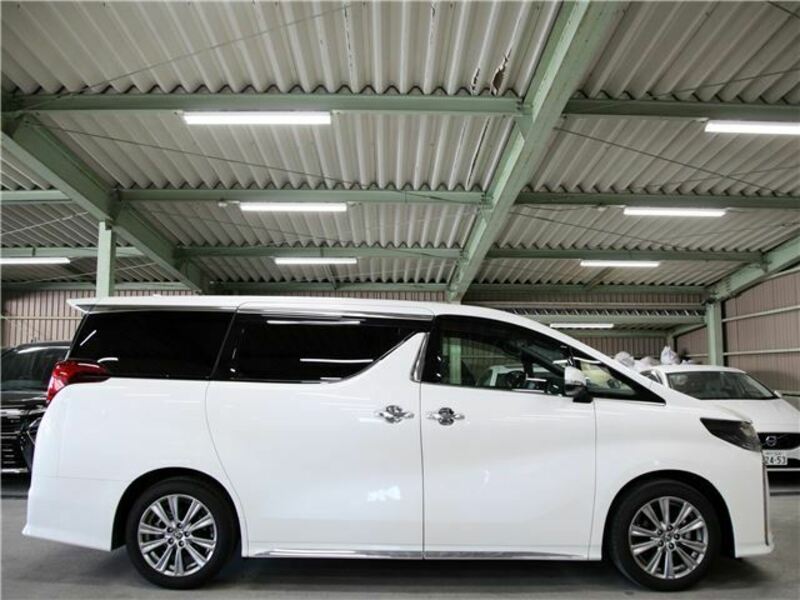 ALPHARD-31