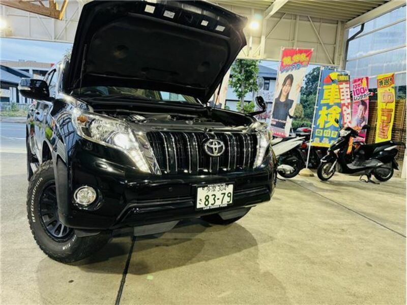 LAND CRUISER PRADO-6