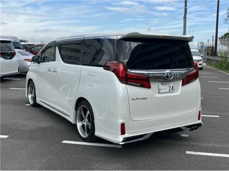 ALPHARD-6