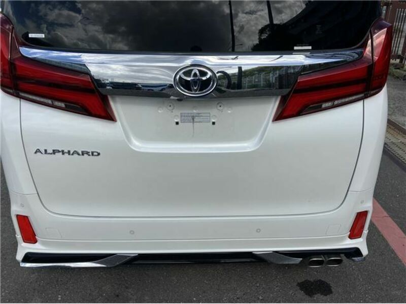 ALPHARD-27