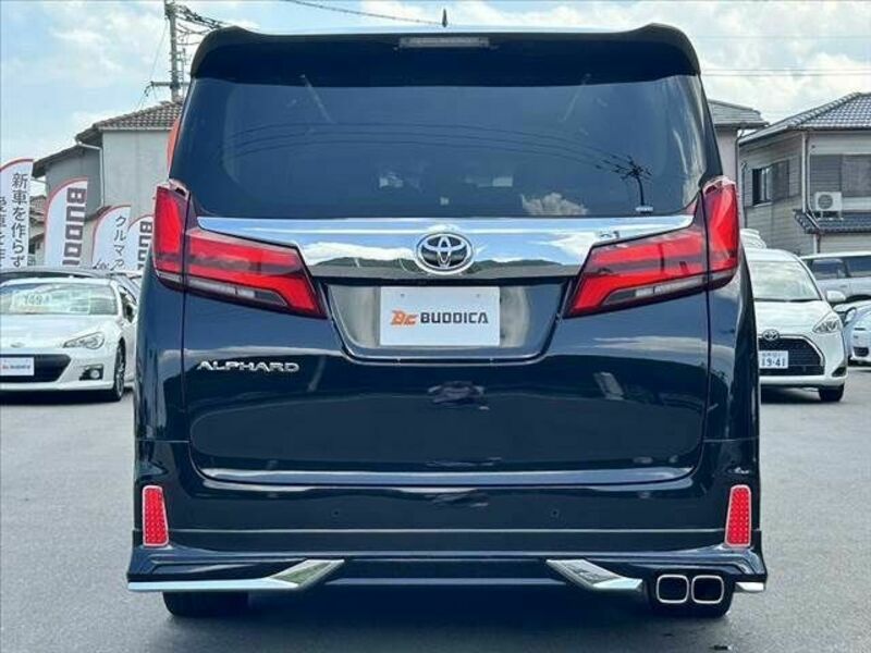 ALPHARD-13