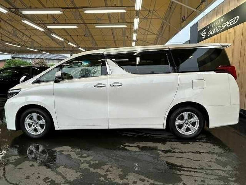 ALPHARD-13