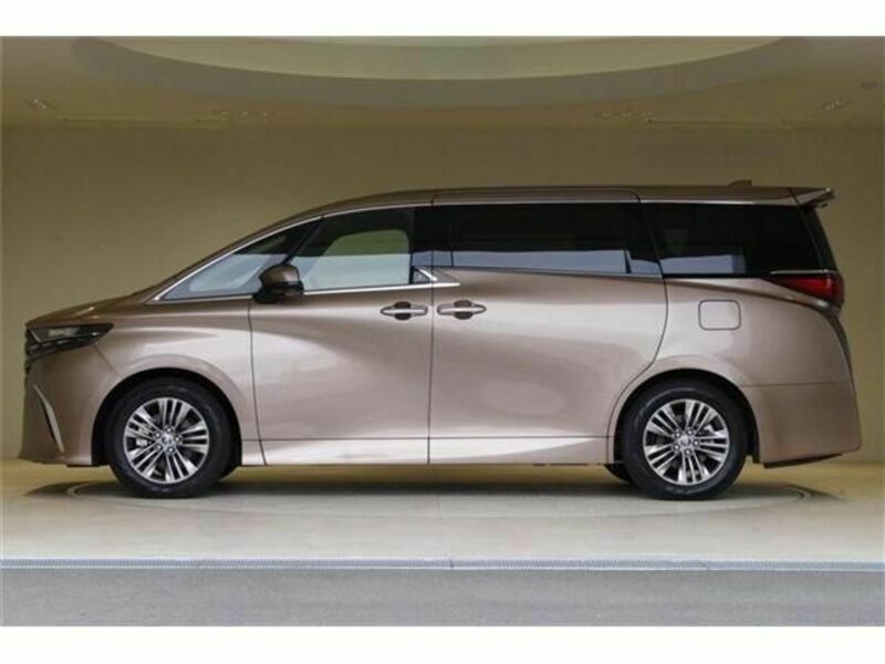 ALPHARD-19