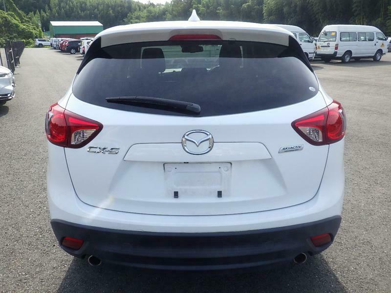 CX-5-41