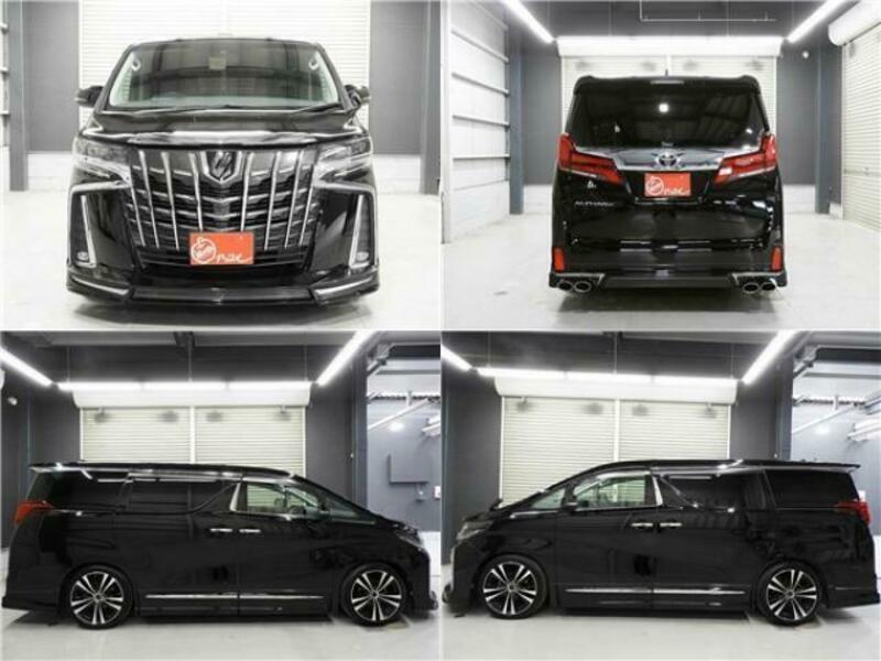 ALPHARD-12