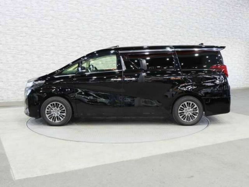 ALPHARD-13