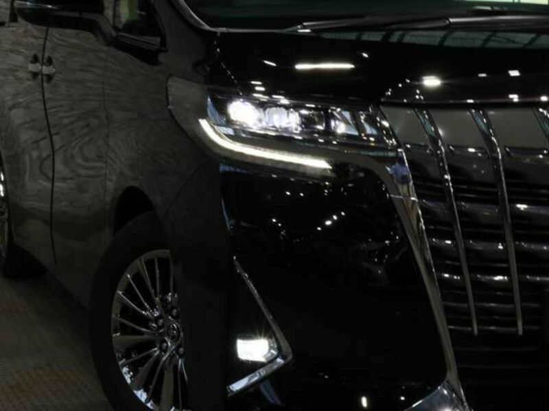 ALPHARD-16