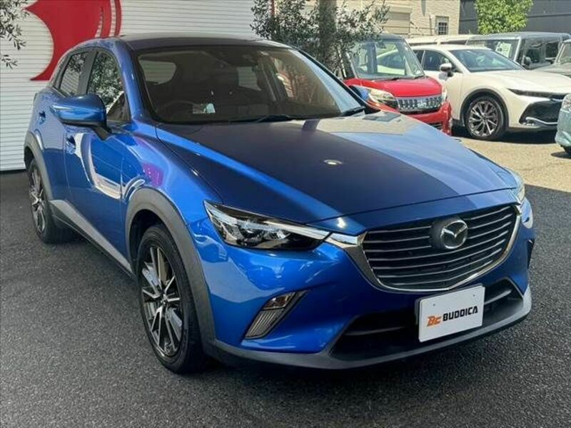 CX-3-8