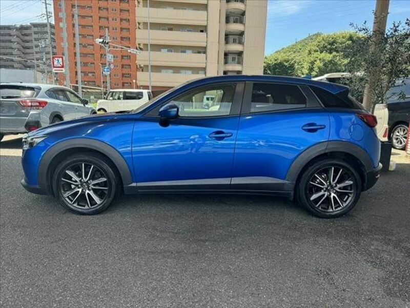 CX-3-13