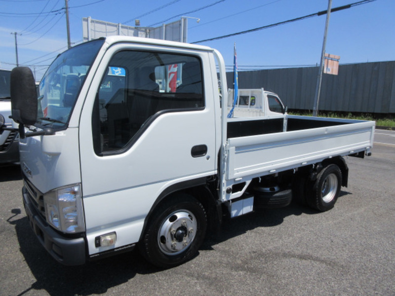 ELF-6