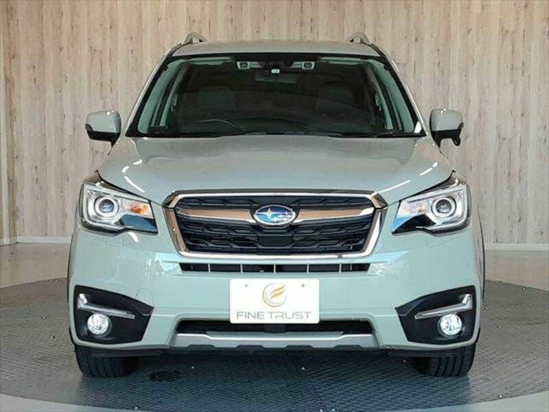 FORESTER-16