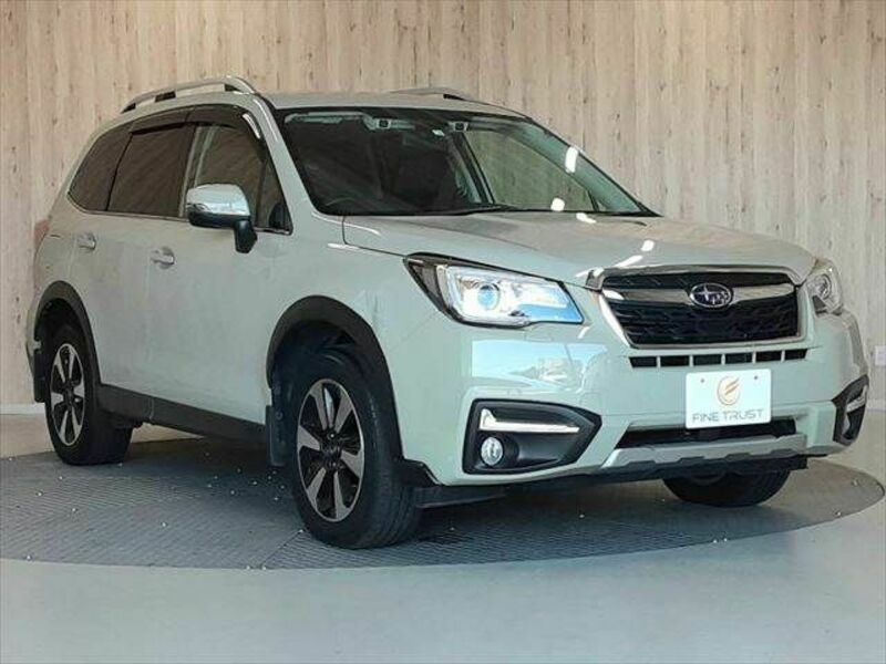 FORESTER-17