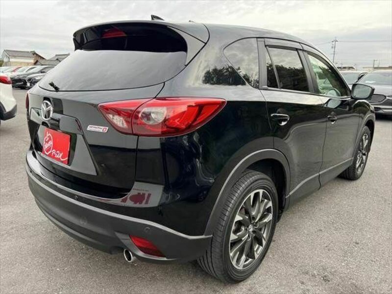 CX-5-19