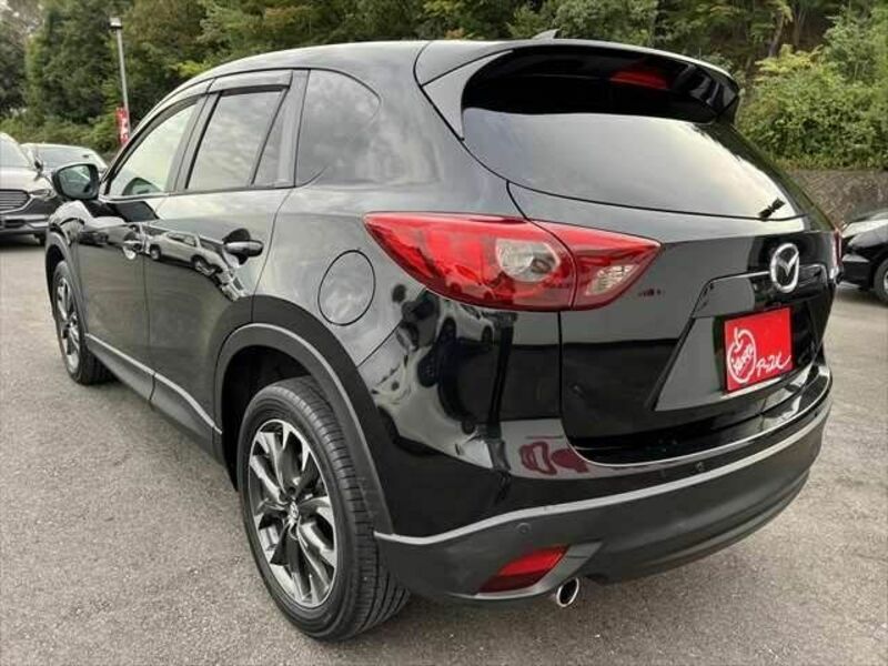 CX-5-21