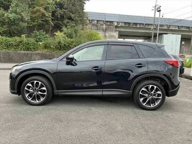 CX-5-22