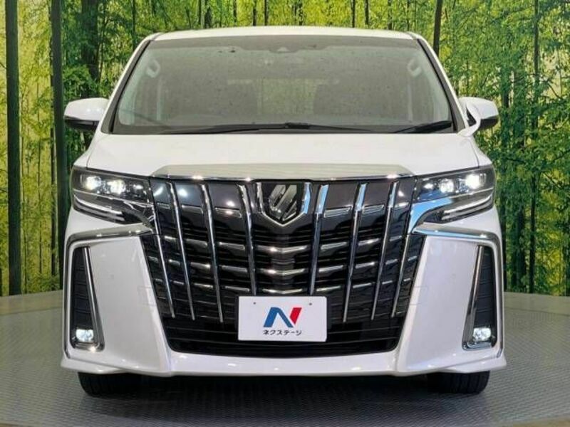 ALPHARD-14