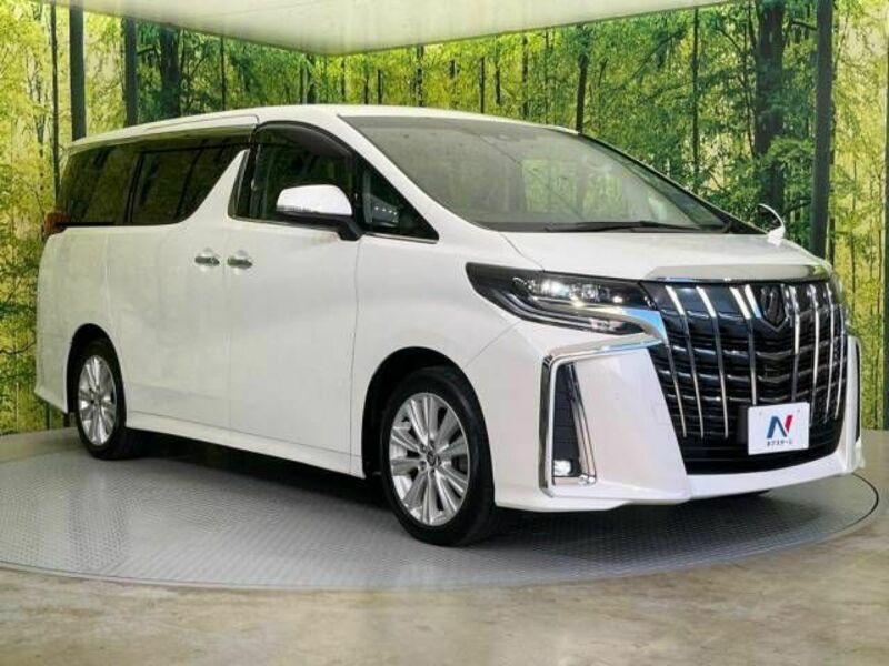 ALPHARD-16