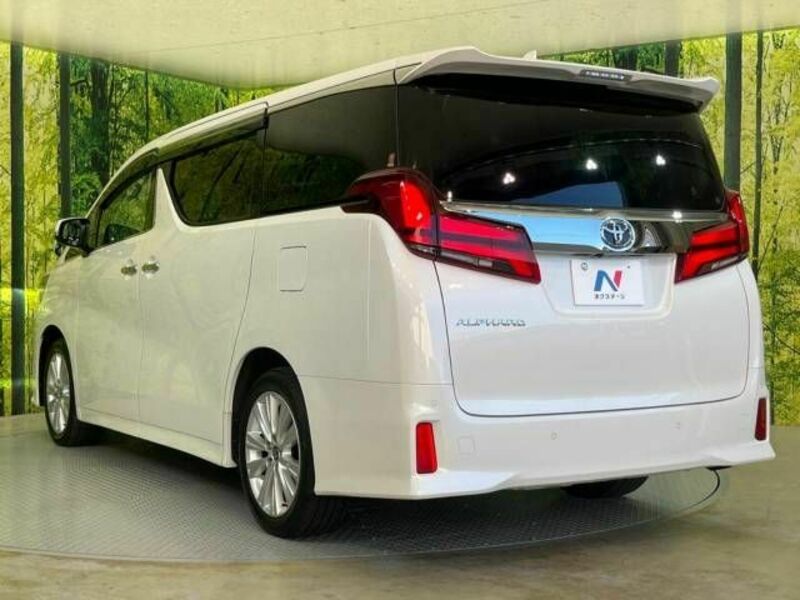 ALPHARD-17