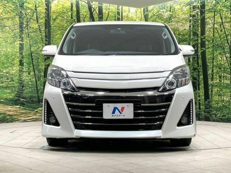 ALPHARD-14