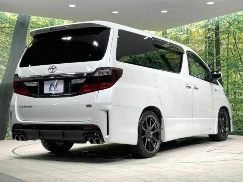 ALPHARD-17