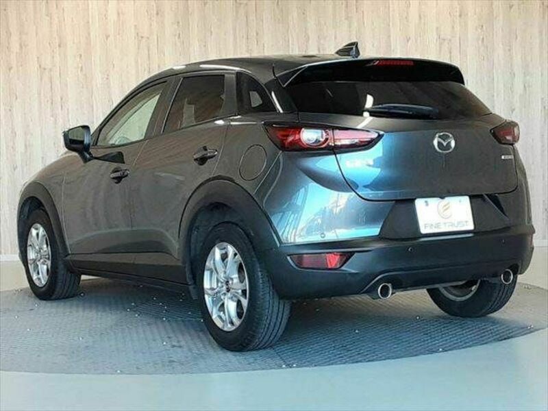 CX-3-19