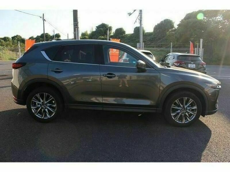 CX-5-6