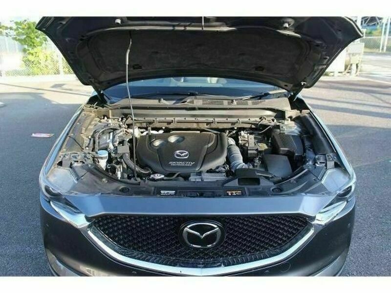 CX-5-17