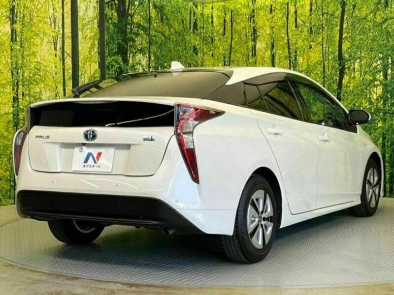 PRIUS-17