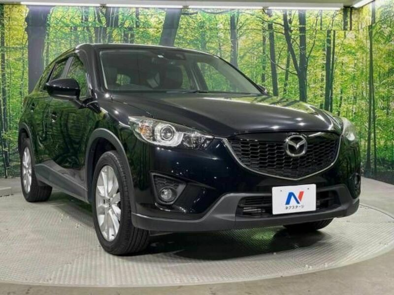 CX-5-16