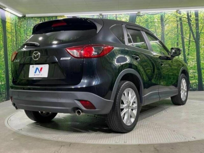 CX-5-17