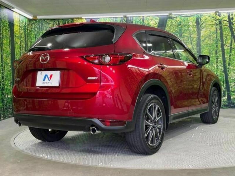 CX-5-17