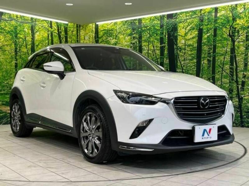 CX-3-16