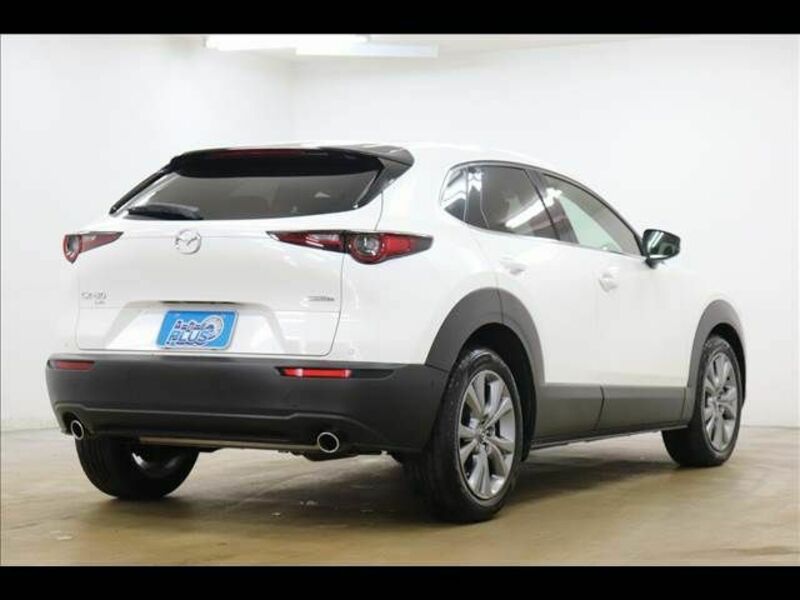 CX-30-18