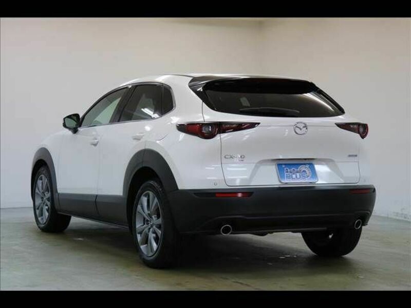 CX-30-19